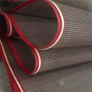 Fabrik Tali Penghantar PTFE Polypropylene Mesh Tahan Panas